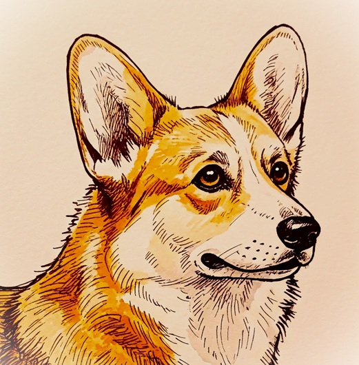 Planet of the Corgis Community